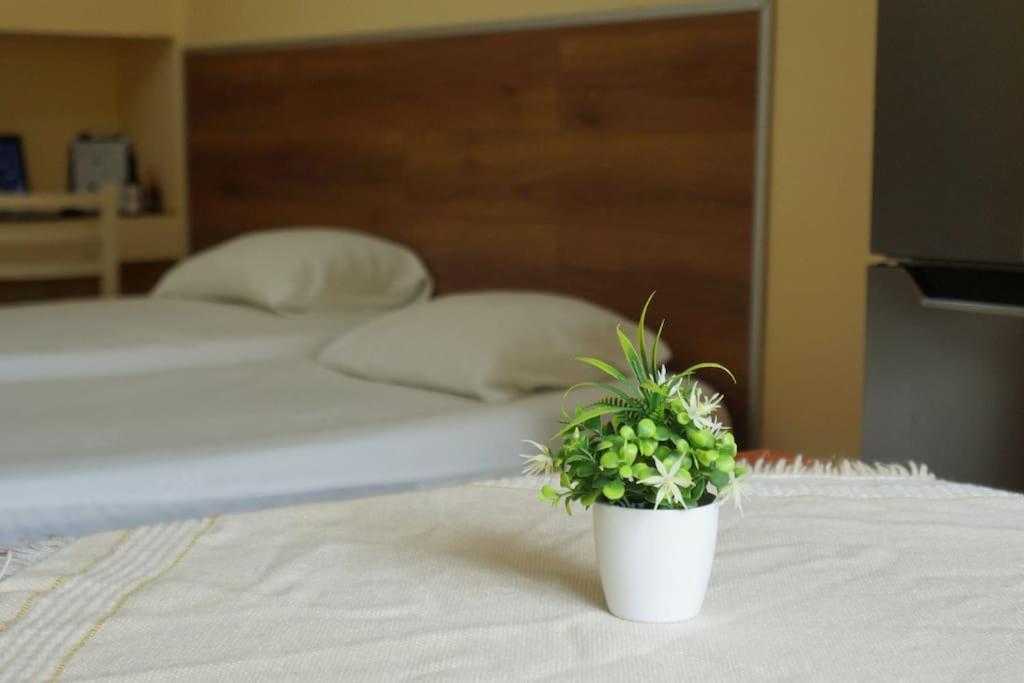 Alle'S M Shyri Studio Apartment Tiranë Ngoại thất bức ảnh
