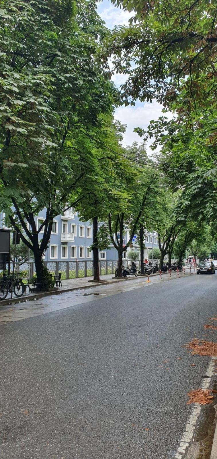 Alle'S M Shyri Studio Apartment Tiranë Ngoại thất bức ảnh